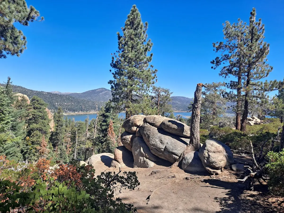 google place photo (14)
