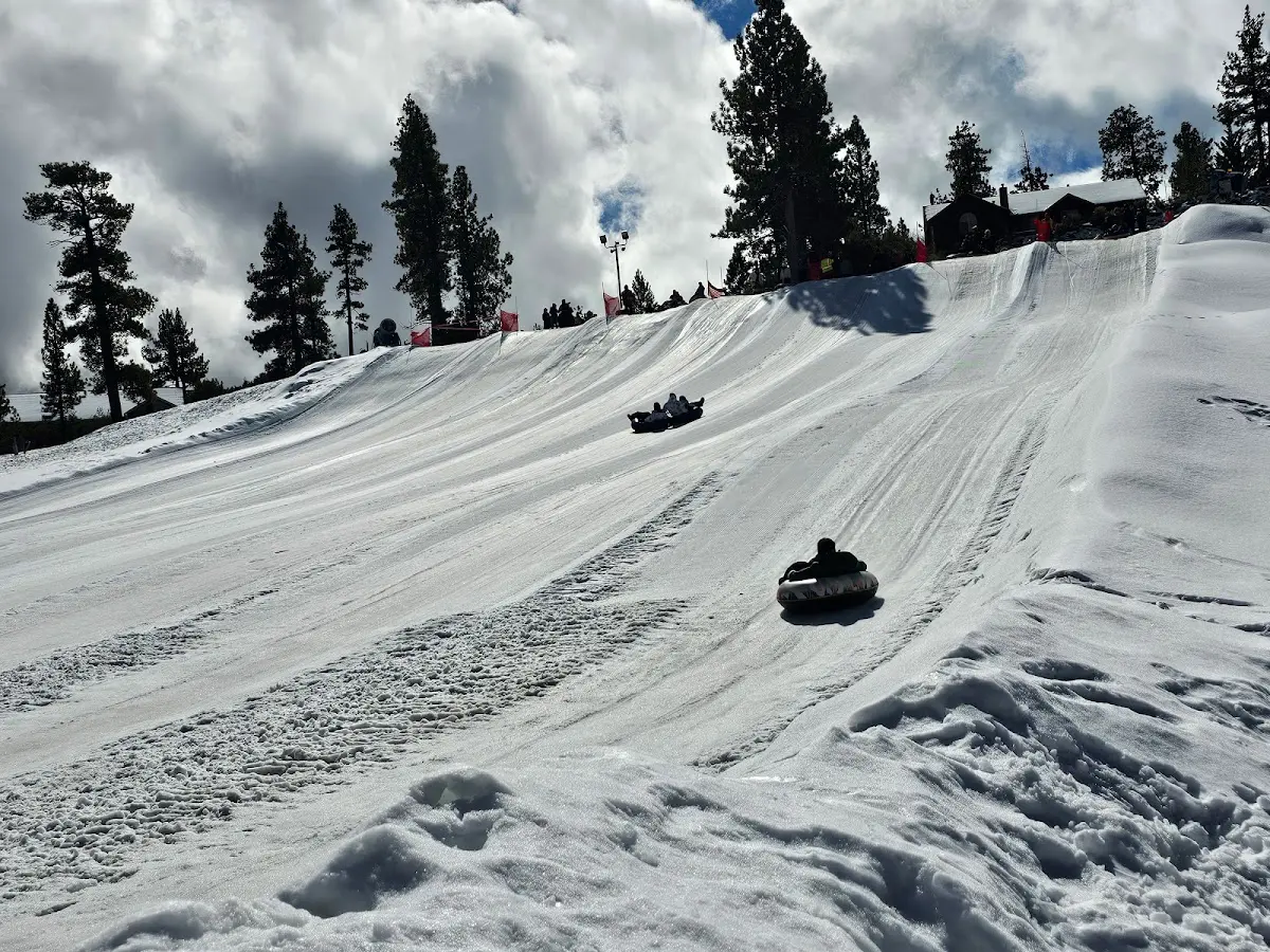 google place photo (16)