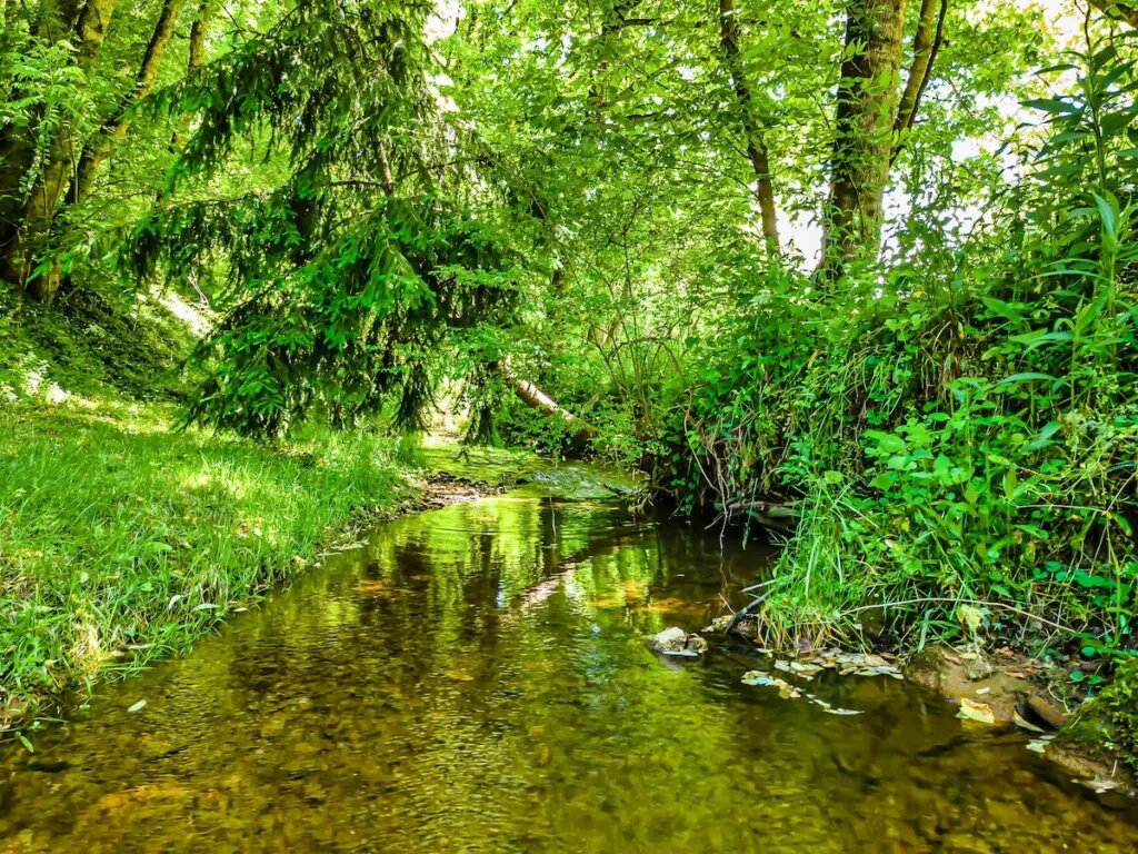 1a274eaf ce95 4b16 8ff7 07778f757e44.jpeg