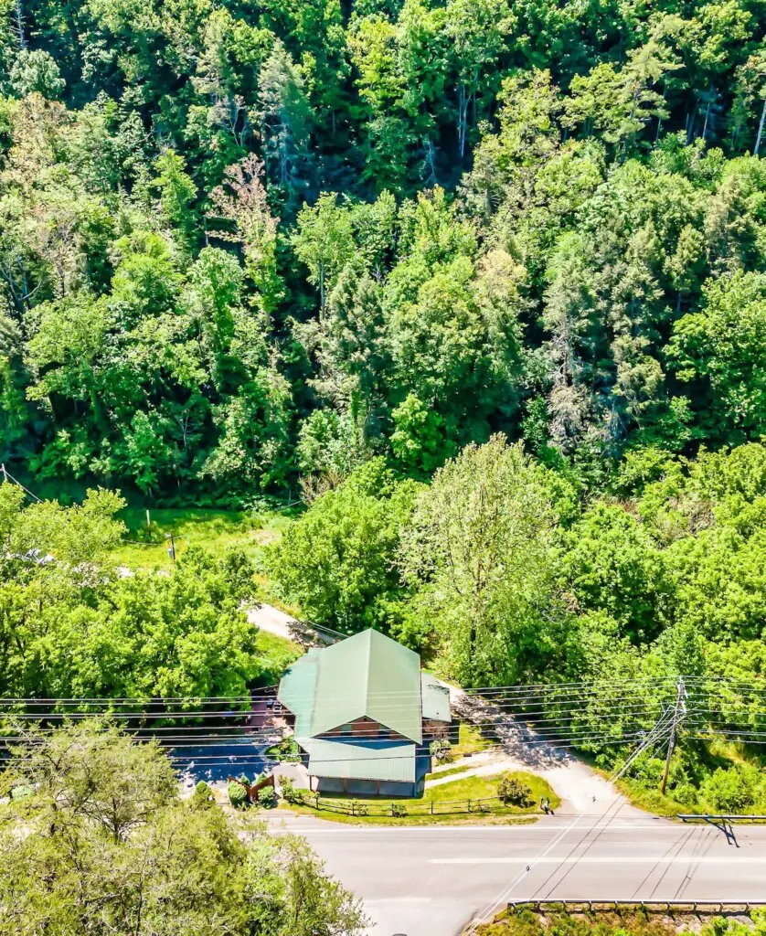 2eb93dd2 911f 4a18 be30 30b53b75eecc.jpeg