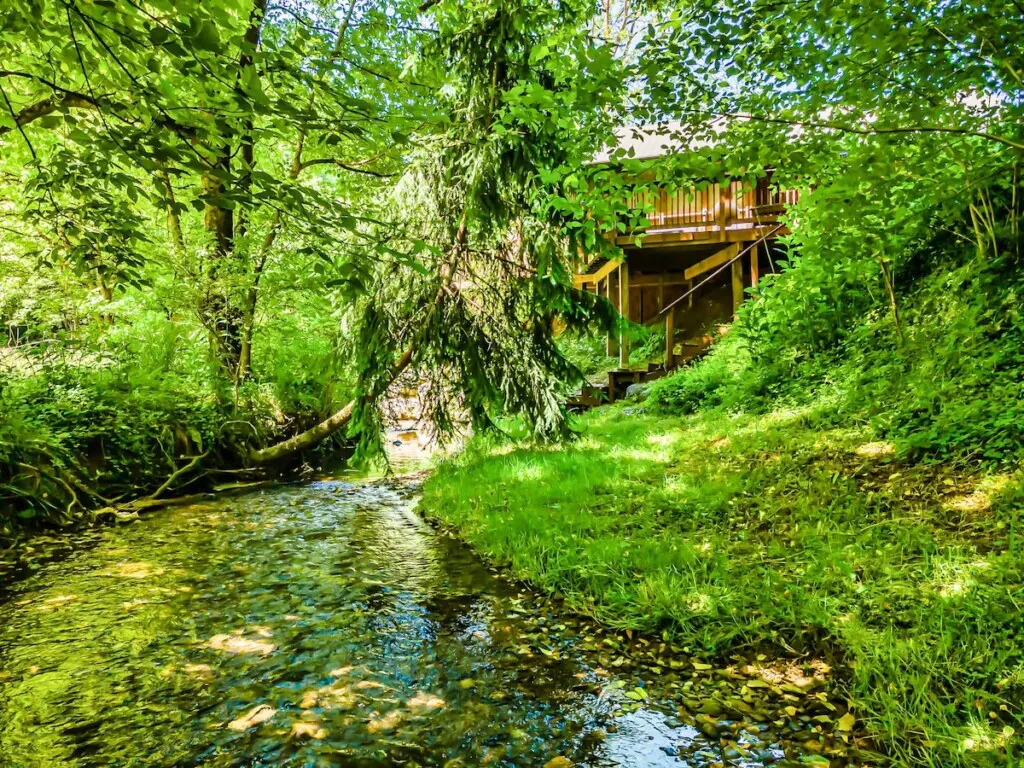 33eb0b2c 251e 4d98 996a a8b3cd02075e.jpeg