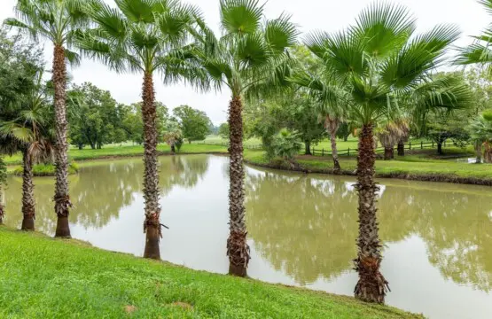 original 47468349 1734142797