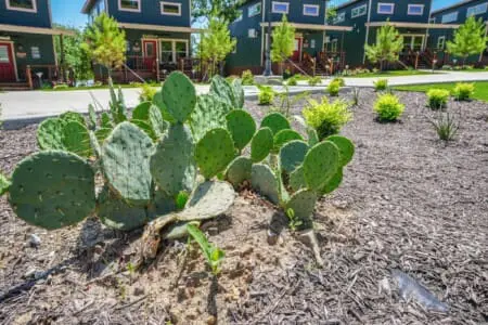 yomtvssbku6zzftc0zcp