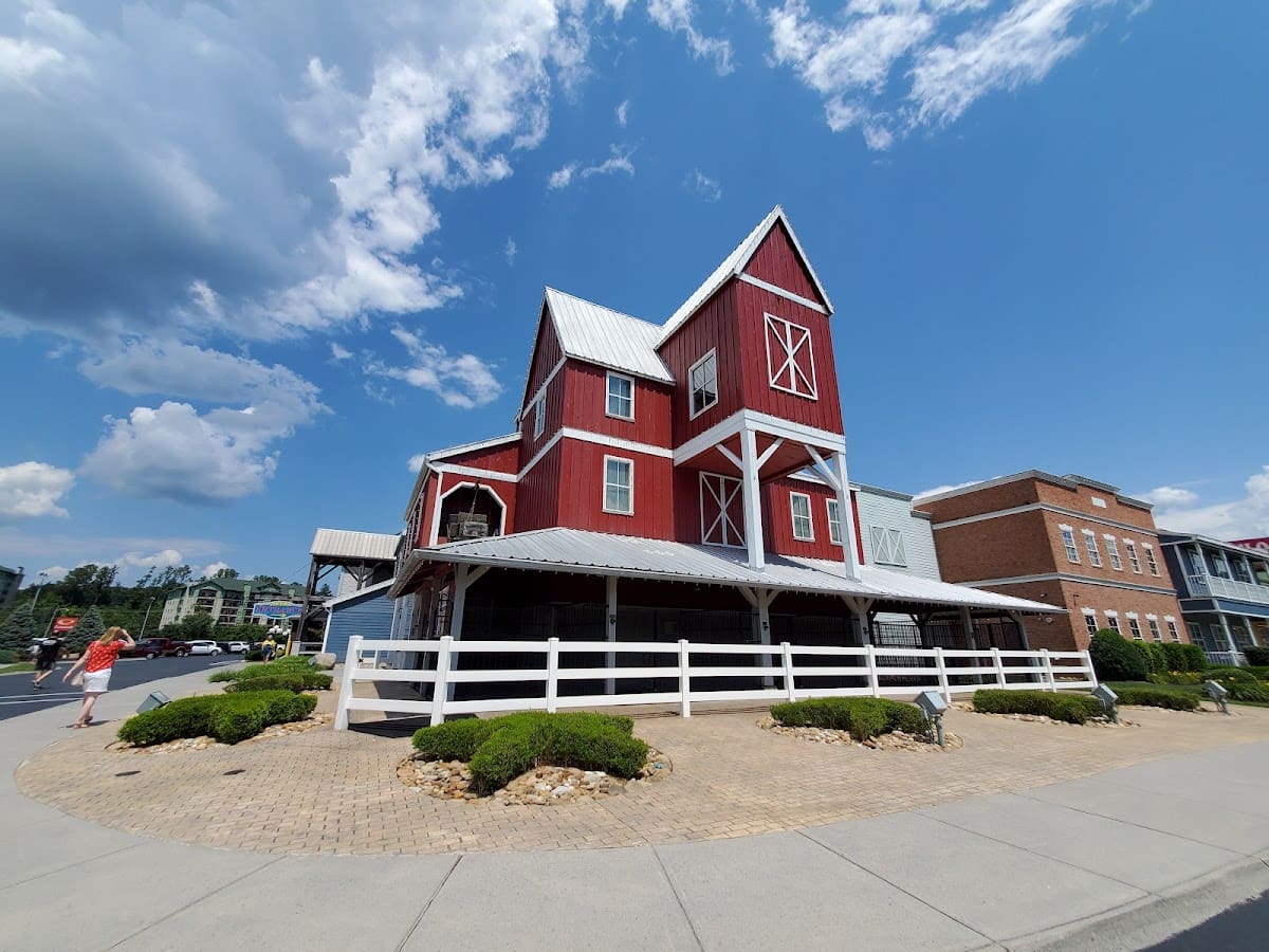 google place photo (8)