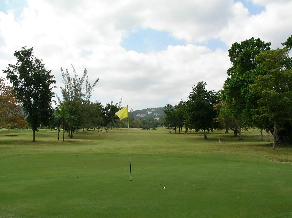 golf course 4
